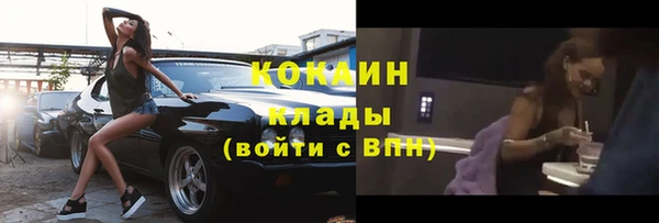 МДПВ Бородино