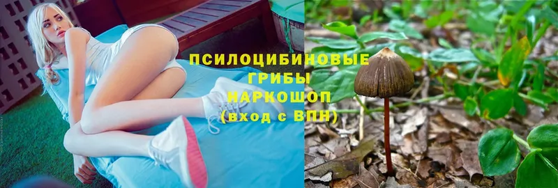 Псилоцибиновые грибы Magic Shrooms  OMG зеркало  Новоульяновск 